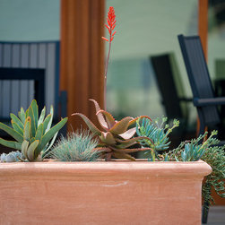Sonos Headquarters, Santa Barbara, CA - Outdoor Products