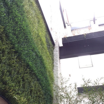 Brooklyn 19