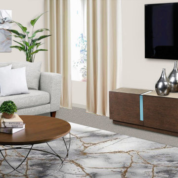 Living Room Space