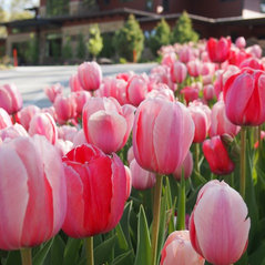 Kinghorn Gardens - Omaha, NE, US 68106