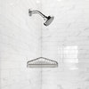 Design House 588921 6-1/4"W Shower Basket - Stainless Steel