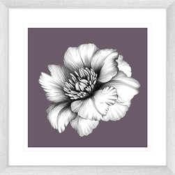 In Bloom Collection - Framed Art Prints (BLOOM03) - Artwork