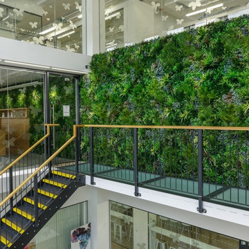 VistaFolia Faux Green Wall In Office Building