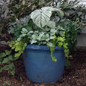 Spring Container Garden Design