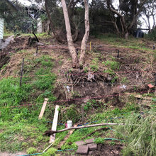 Hillside Stabilizing