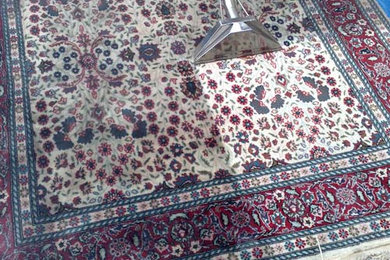 Rug and Carpet Cleaning Sydney