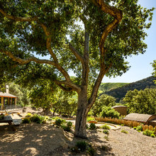 Landscape Mediterranean