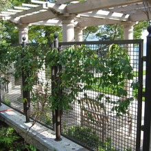 Pool Fence