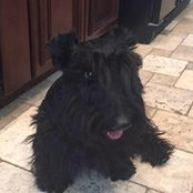 Brenda Decker's photo