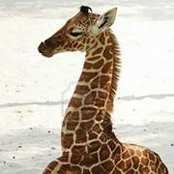 Kim Figueroa's photo