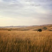 Josh Sutherland's photo