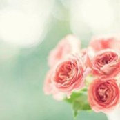 Foto de Asmaa Azim

