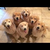 Jan Ayton's photo