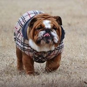 Alisha Bradley's photo