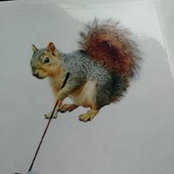 Gloria Davis's photo