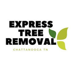 Tree Trimming services