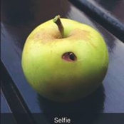 Foto von Margarit Sebastian