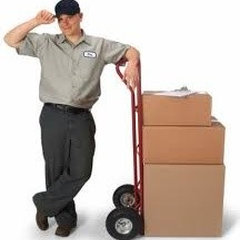 Beehive Movers