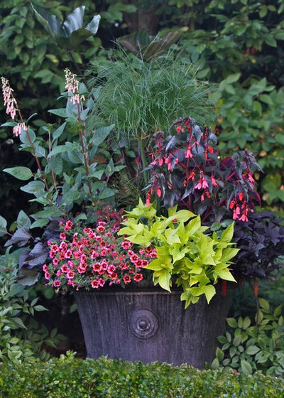 12 Plant Combinations For Stylish Summer Planters - gardenpicsandtips.com