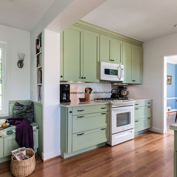Washington D.C. - Green Transitional Kitchen