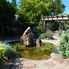 Pond Fountain Water Feature