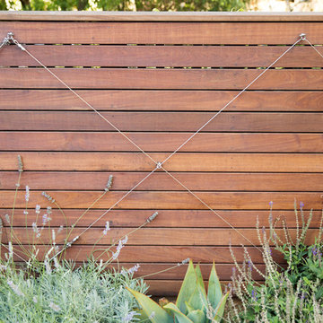 Ipe Fence with Trellis