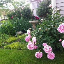 GreenMark Demonstration Garden