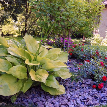 Softscape (Flowers, Flower beds and more)
