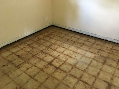 Mastic Stained Concrete Floors Advice Needed Re Tile Or Polish