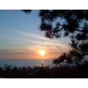 Charisse Okamoto's photo