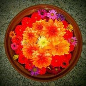Moritz Mantero's photo