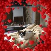 Audrey Strubel's photo