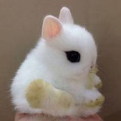 Zaty Ibrahim's photo