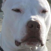 Tina Taddeo's photo