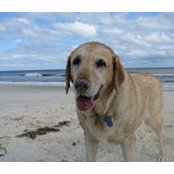 Matt McKenzie's photo