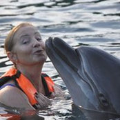 Ann Douglas's photo