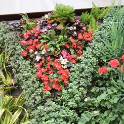 Living Wall System Residential - Products