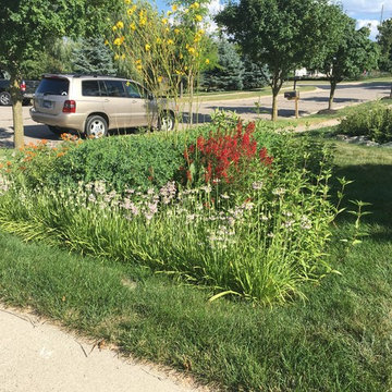Compilation of Rain Garden Projects