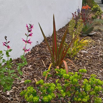 Mediterranean Courtyard- Lawn Removal Project