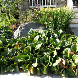Greentree Planting Beds - Products