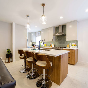 North Park Mid-Century Home Remodel