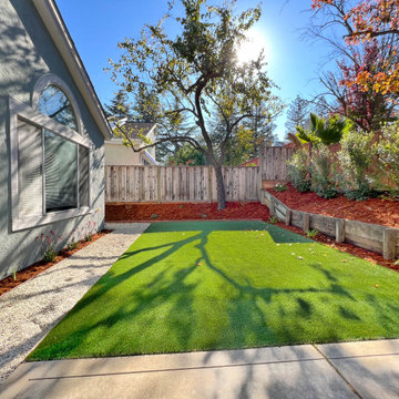 Backyard Transformation (Turf, Pavers, Shrubs, Fence)