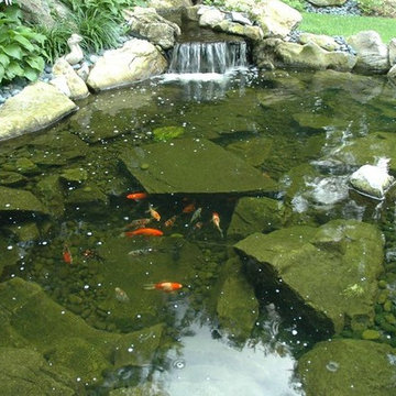 Koi Pond