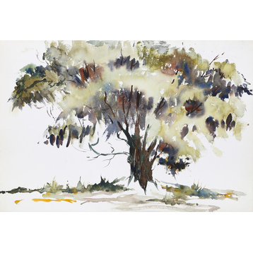 Eve Nethercott "Tree, P1.31" Watercolor Painting