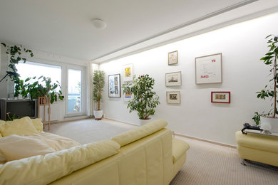 Mittelgroßes Modernes Wohnzimmer in Sonstige