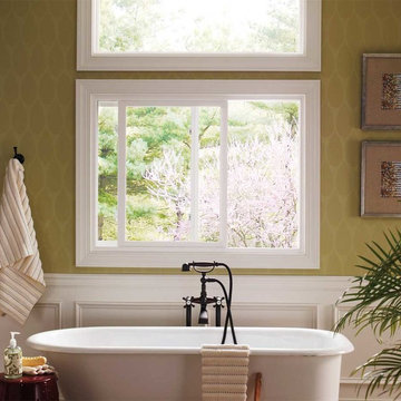 Windows Replacement