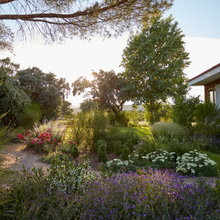 Garden/Landscaping