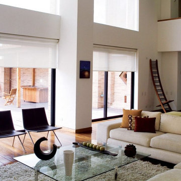 Modern Living Room with Roller Shades