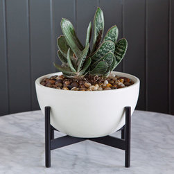 Case Study Tabletop Bowl Planter with Metal Stand - Indoor Pots And Planters