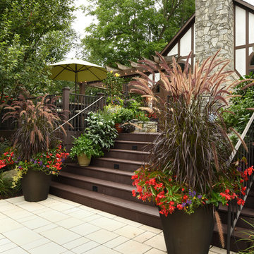 Site Gardener Color